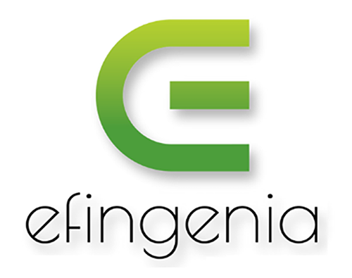 LOGO EFINGENIA